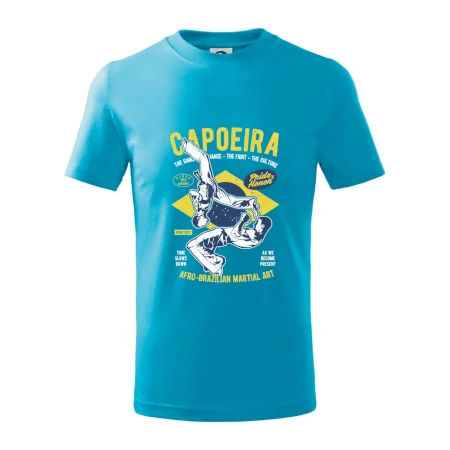 Capoeira  Afro-brazil art