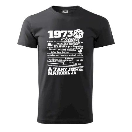 1973 v kostce