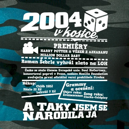 2004 v kostce