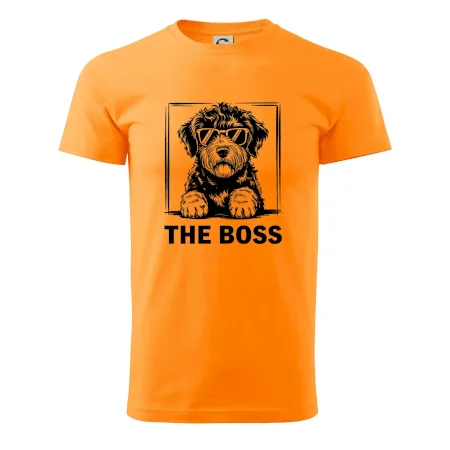 Lagotto romagnolo the boss