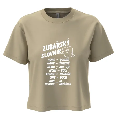 Zubařský slovník