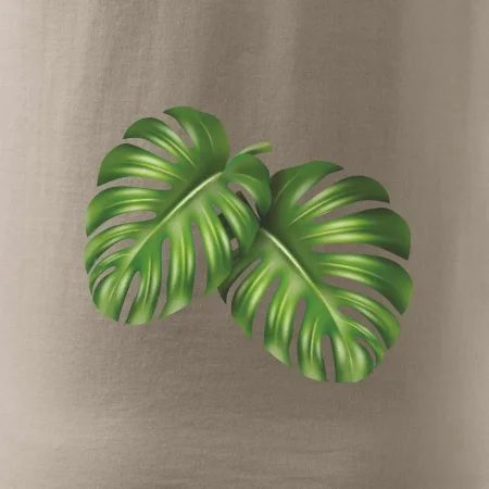 Monstera - dva listy