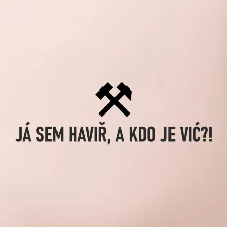 JÁ SEM HAVIŘ, A KDO JE VIĆ?!﻿