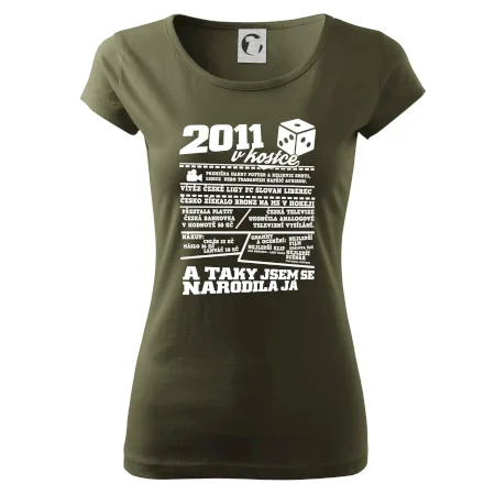 2011 v kostce