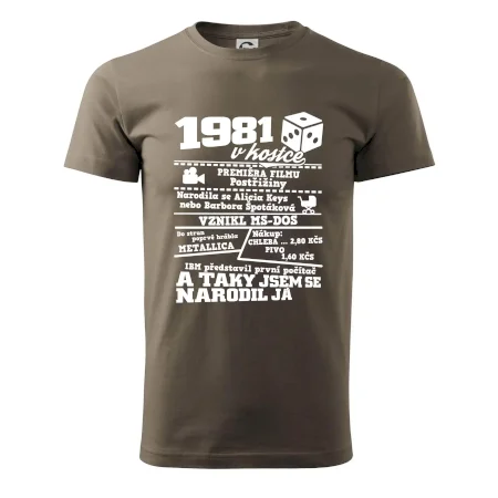 1981 v kostce