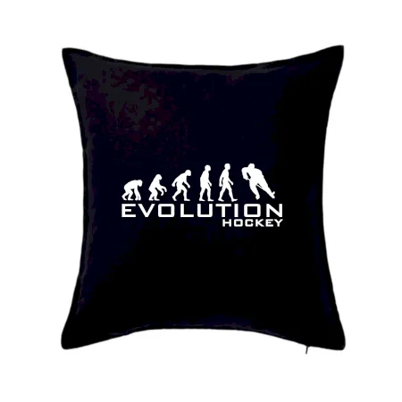 Evoluce Hockey - hráč