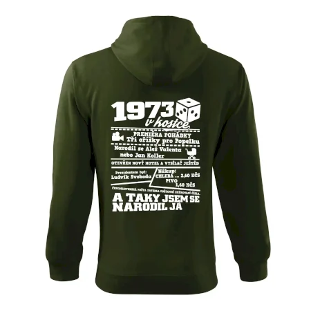 1973 v kostce