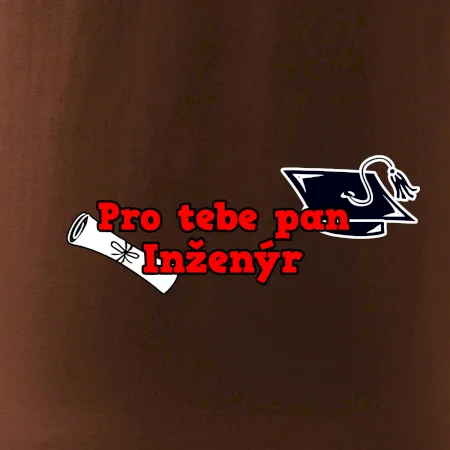 Pro tebe pan Inženýr