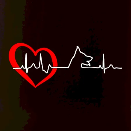 Německý ovčák ekg