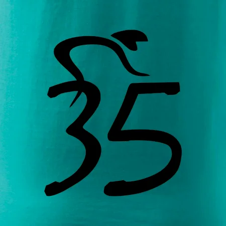 Cyklista slaví pětatřicítku (35)