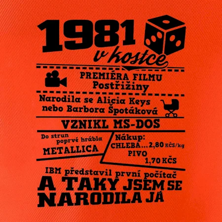 1981 v kostce