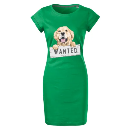 Zlatý retriever - štěně wanted