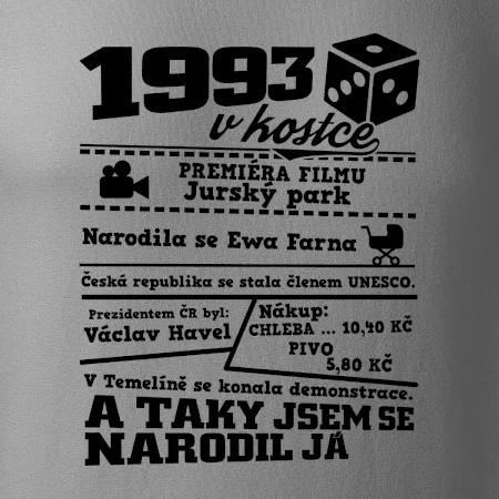 1993 v kostce
