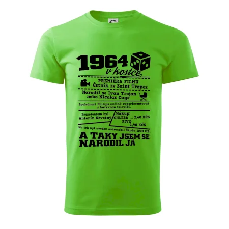 1964 v kostce