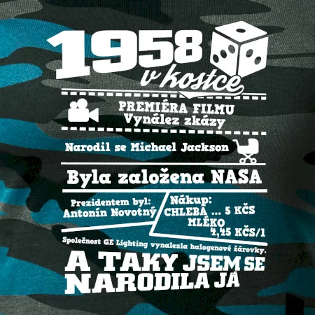 1958 v kostce