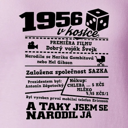1956 v kostce