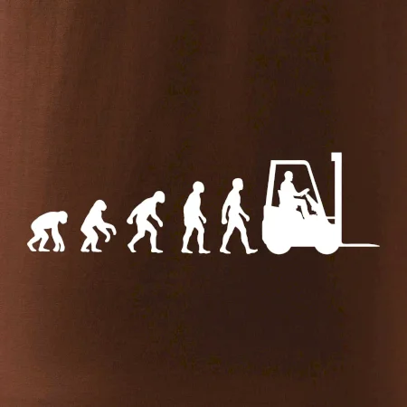 Evoluce ještěrka