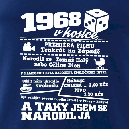 1968 v kostce