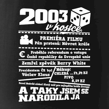 2003 v kostce