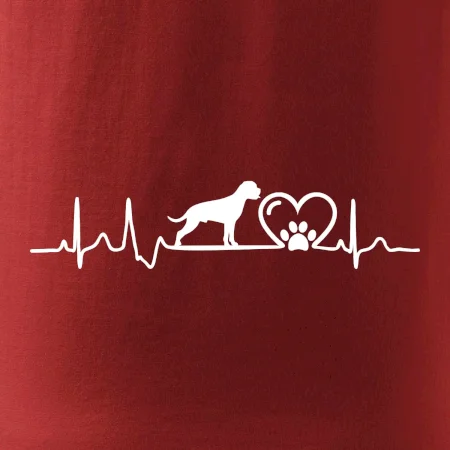 Německý boxer EKG