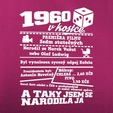 1960 v kostce