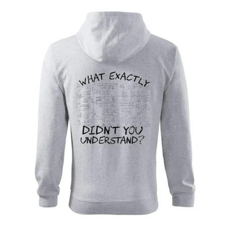 What exactly didnt you understand - physics
