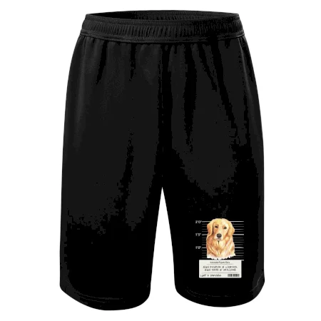 Lump a darebák zlatý retrívr