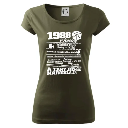 1988 v kostce