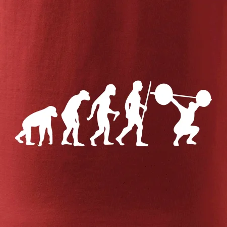 Evolution fitness
