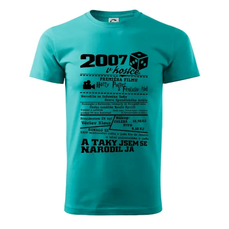 2007 v kostce
