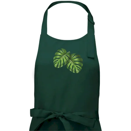 Monstera - dva listy
