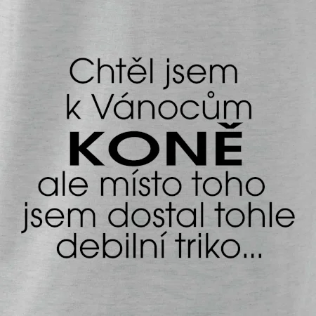 Chtěl jsem dostat k Vánocům koně