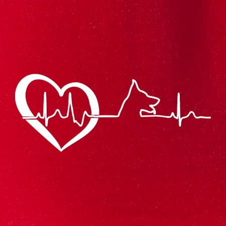 Německý ovčák ekg