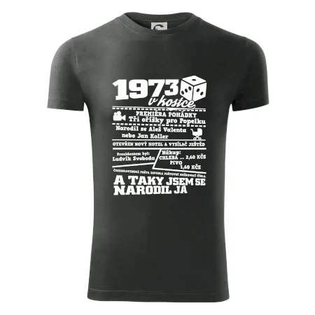 1973 v kostce