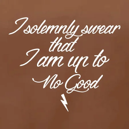I solemnly swear that I'm up to no good
