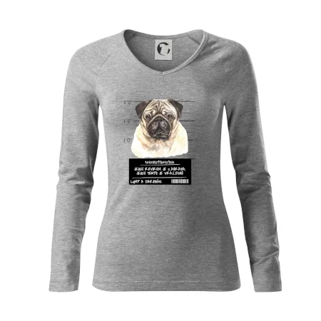 Lump a darebák mopsík