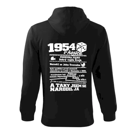 1954 v kostce