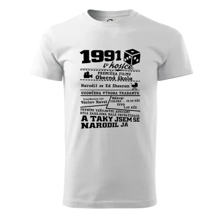 1991 v kostce