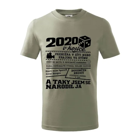 2020 v kostce