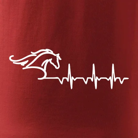 Hlava koně EKG