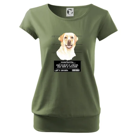 Lump a darebák labrador