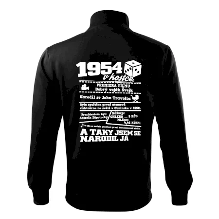 1954 v kostce