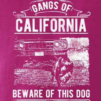 Gangs Of California