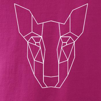 Americký Pit Bull Teriér - Geometrie