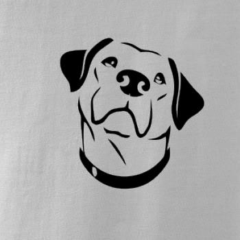 Labrador obrys