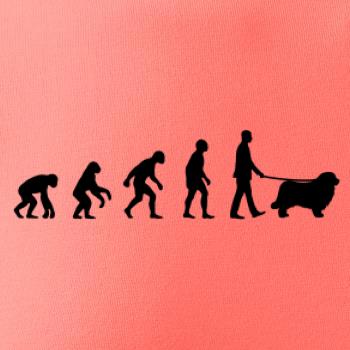 Evoluce pes Novofundlandský pes (muž-žena)