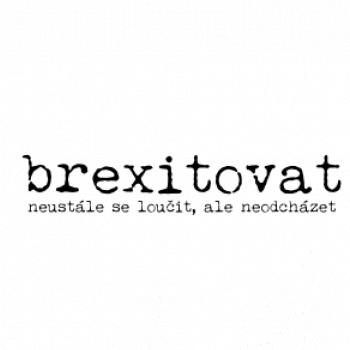 Čeština 2.0 - brexitovat