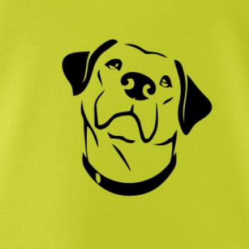 Labrador obrys
