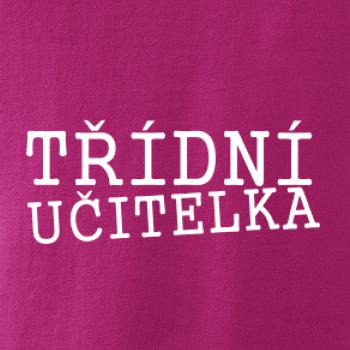Třídní učitelka Třídní učitelka