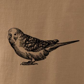 Tužkou kreslený Papoušek